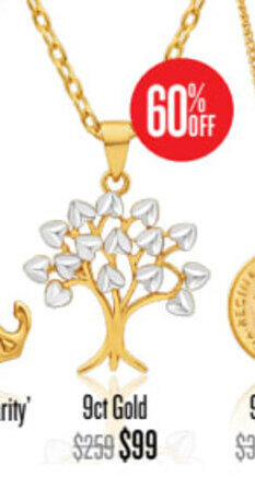 Shiels 9ct Gold offer