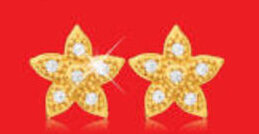 Zirconia Studs
