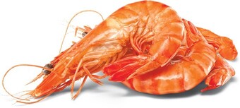 Woolworths Fresh Medium Cooked Australian Tiger Prawns offer