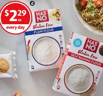 Has No Gluten Free Flour 500g