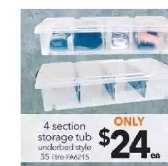 Cheap as Chips 4 Section Storage Tub offer