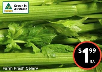 Foodworks Farm Fresh Celery offer