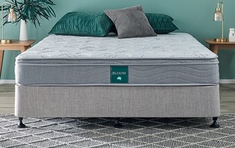 Bloom Mattress