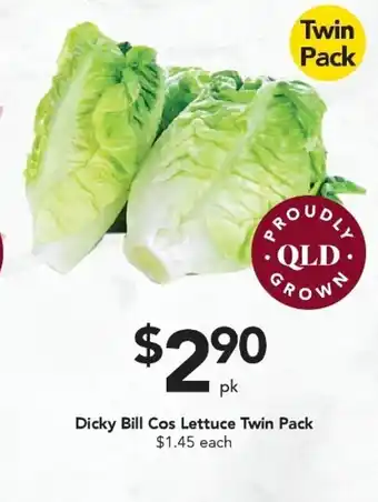 Drakes Dicky Bill Cos Lettuce Twin Pack offer