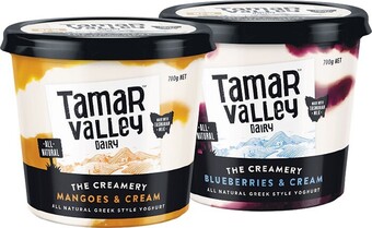 Woolworths Tamar Valley Creamery Yoghurt 700g – From the Fridge offer