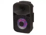 8" Rechargeable PA/ Party Speaker