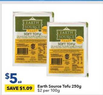 Earth Source Tofu