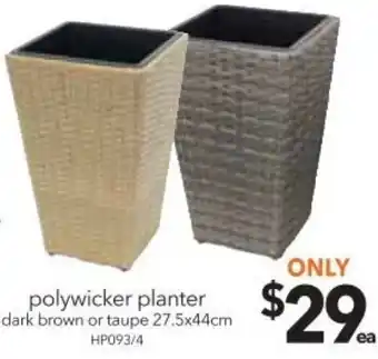 Cheap as Chips Polywicker Planter 27.5x44 cm offer