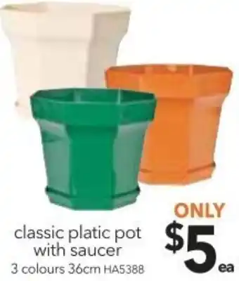 Cheap as Chips Classic Plastic Pot With Saucer 36 cm offer
