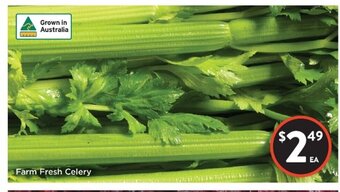 Foodworks Farm Fresh Celery offer