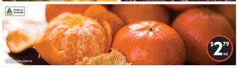 Foodworks Imperial Mandarins offer