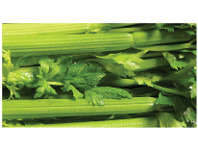 Foodworks Farm Fresh Celery offer