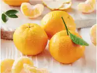 Imperial Mandarins