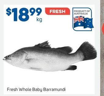 Foodland Fresh Whole Baby Barramundi offer