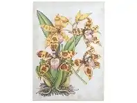 Spider Orchid Artwork, 122cm