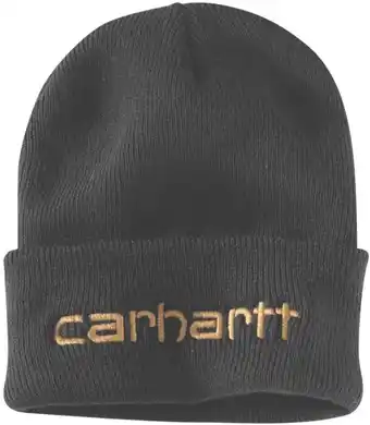Carhartt Beanies - Teller