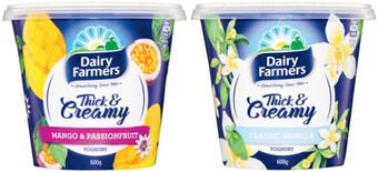 Dairy Farmers Thick & Creamy Yoghurt 600g
