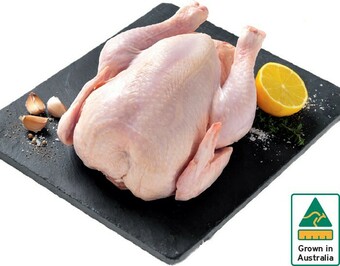 IGA Australian Fresh Whole Chicken offer