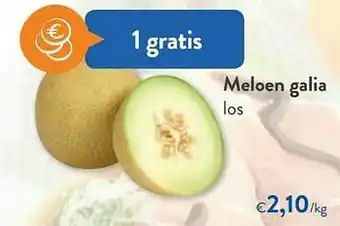 Meloen galia