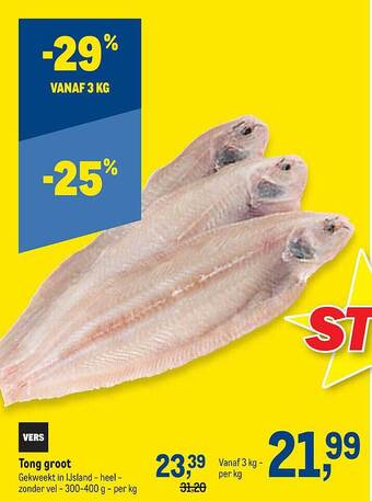 Tong Groot