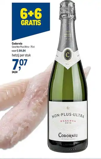 Codorniu