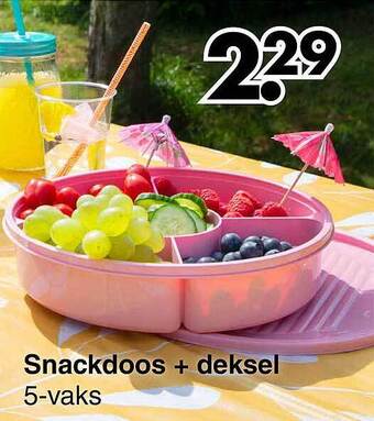 Wibra Snackdoos + Deksel aanbieding