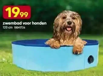 Zwembad voor honden