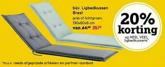 Leen Bakker Ligbedkussen brest aanbieding