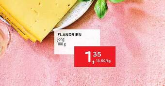 Alvo Flandrien Jong aanbieding