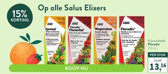 Salus Elixers Floradix 250 ml
