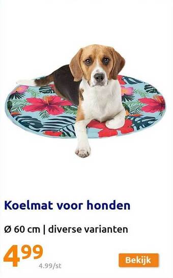Action Koelmat Voor Honden aanbieding