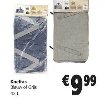 Koeltas Blauw Of Grijs