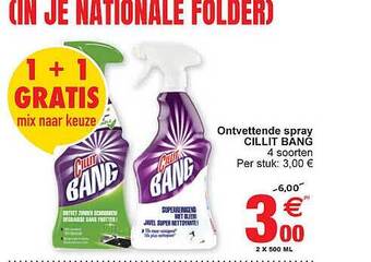 Ontvettende Spray Cillit Bang