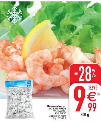 Cora Garnaalstaarten Ocean Pride aanbieding