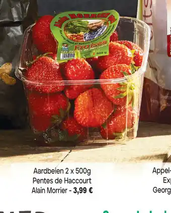 Aardbeien 2 x 500 g Pentes de Haccourt Alain Morrier
