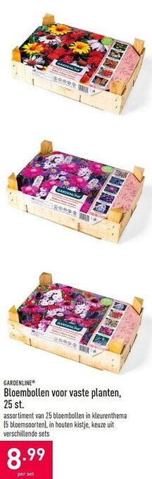 ALDI Bloembollen voor vaste planten aanbieding