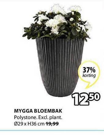 Jysk Mygga Bloembak aanbieding