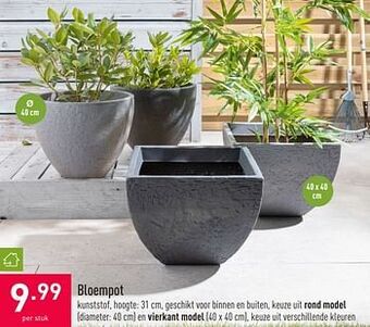 ALDI Bloempot aanbieding