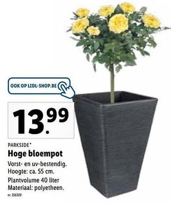 Lidl Hoge bloempot aanbieding