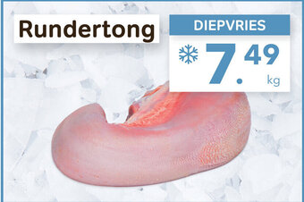 Bon Ap Rundertong aanbieding