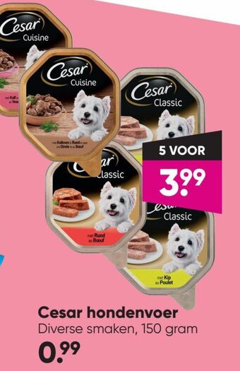 Big Bazar Cesar hondenvoer aanbieding