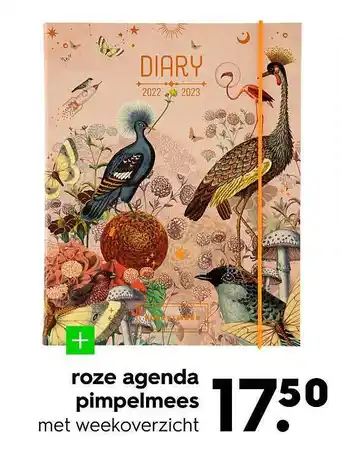 HEMA Roze Agenda Pimpelmees aanbieding