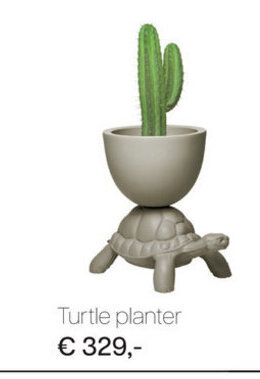 Turtle Planter
