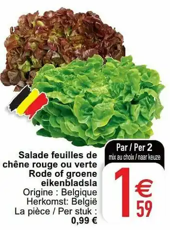 Salade feuilles de chêne rouge ou verte rode of groene eikenbladsla