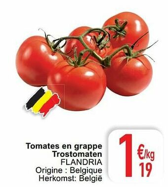 Tomates en grappe trostomaten flandria