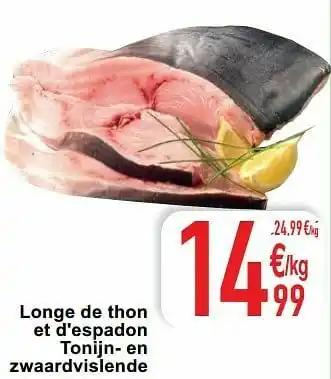 Longe de thon et d`espadon tonijn- en zwaardvislende