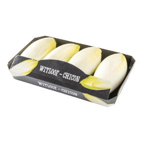 ALDI Witloof aanbieding