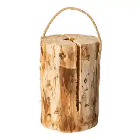 Zweedse fakkel