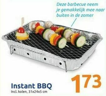 Action Instant bbq aanbieding