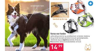 ALDI Harnas Voor Honden aanbieding
